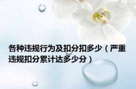 各种违规行为及扣分扣多少（严重违规扣分累计达多少分）