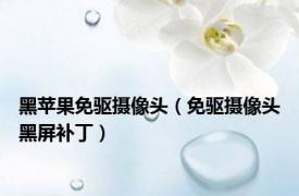 黑苹果免驱摄像头（免驱摄像头黑屏补丁）