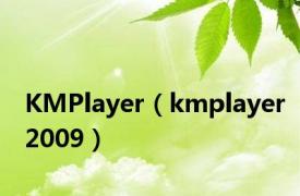 KMPlayer（kmplayer2009）