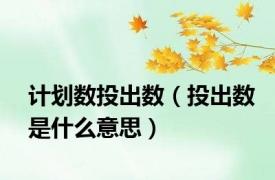 计划数投出数（投出数是什么意思）