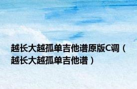 越长大越孤单吉他谱原版C调（越长大越孤单吉他谱）