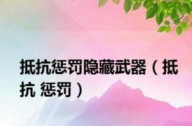 抵抗惩罚隐藏武器（抵抗 惩罚）