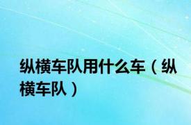 纵横车队用什么车（纵横车队）