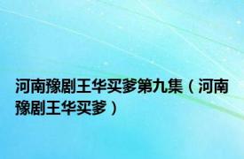 河南豫剧王华买爹第九集（河南豫剧王华买爹）