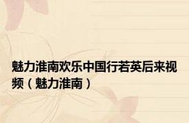 魅力淮南欢乐中国行若英后来视频（魅力淮南）