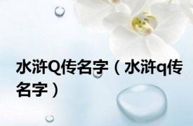 水浒Q传名字（水浒q传名字）