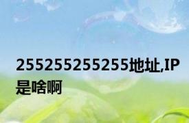 255255255255地址,IP是啥啊