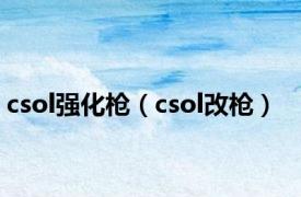 csol强化枪（csol改枪）