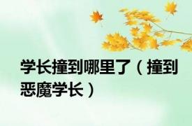 学长撞到哪里了（撞到恶魔学长）