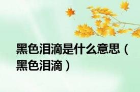 黑色泪滴是什么意思（黑色泪滴）