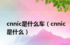 cnnic是什么车（cnnic是什么）
