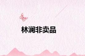 林澜非卖品