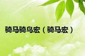 骑马骑鸟宏（骑马宏）