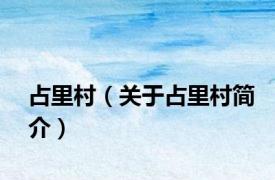 占里村（关于占里村简介）