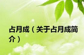 占月成（关于占月成简介）