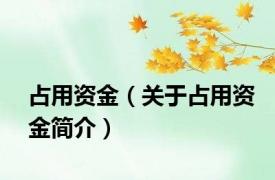 占用资金（关于占用资金简介）