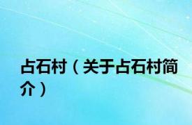 占石村（关于占石村简介）