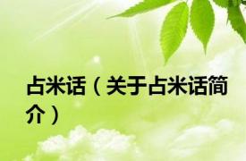 占米话（关于占米话简介）