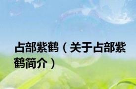 占部紫鹤（关于占部紫鹤简介）