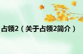 占领2（关于占领2简介）