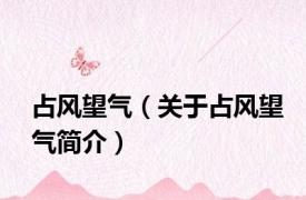 占风望气（关于占风望气简介）