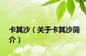 卡其沙（关于卡其沙简介）