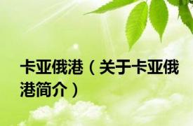 卡亚俄港（关于卡亚俄港简介）