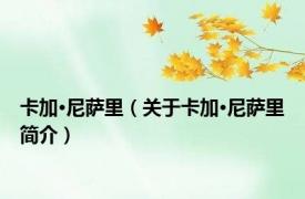 卡加·尼萨里（关于卡加·尼萨里简介）