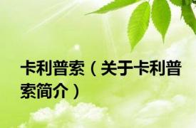 卡利普索（关于卡利普索简介）