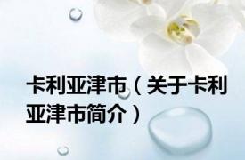 卡利亚津市（关于卡利亚津市简介）