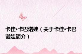 卡佳·卡巴诺娃（关于卡佳·卡巴诺娃简介）