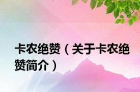 卡农绝赞（关于卡农绝赞简介）
