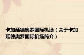 卡加延德奥罗国际机场（关于卡加延德奥罗国际机场简介）