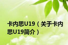 卡内思U19（关于卡内思U19简介）