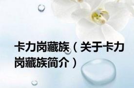 卡力岗藏族（关于卡力岗藏族简介）