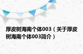 厚皮树海南个体003（关于厚皮树海南个体003简介）