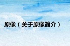原像（关于原像简介）