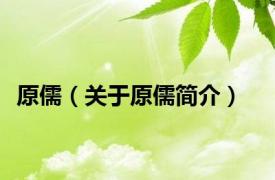 原儒（关于原儒简介）