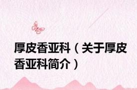 厚皮香亚科（关于厚皮香亚科简介）