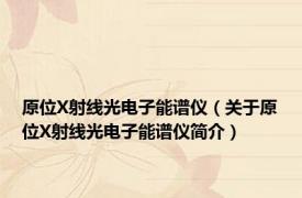 原位X射线光电子能谱仪（关于原位X射线光电子能谱仪简介）