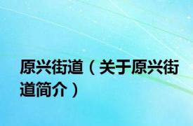 原兴街道（关于原兴街道简介）
