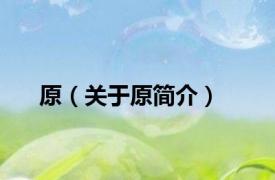 原（关于原简介）