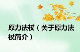 原力法杖（关于原力法杖简介）