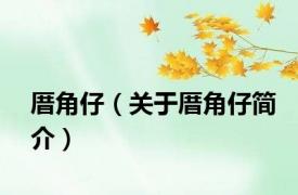 厝角仔（关于厝角仔简介）