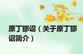 原丁邯诏（关于原丁邯诏简介）