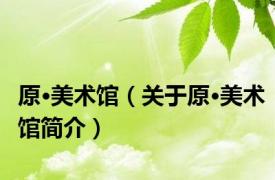 原·美术馆（关于原·美术馆简介）