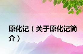原化记（关于原化记简介）