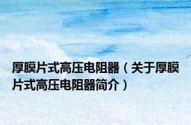 厚膜片式高压电阻器（关于厚膜片式高压电阻器简介）