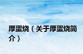 厚蛋烧（关于厚蛋烧简介）