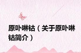 原卟啉钴（关于原卟啉钴简介）